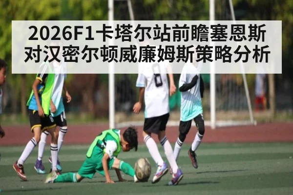 2026F1卡塔尔站前瞻塞恩斯对汉密尔顿威廉姆斯策略分析